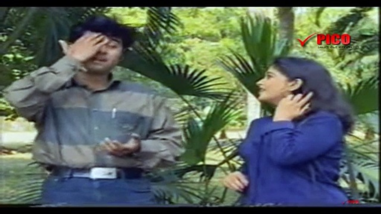 Pico TV (2)