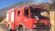 Karaburun'da piknikçi ateşi ormanı yaktı | Haberler