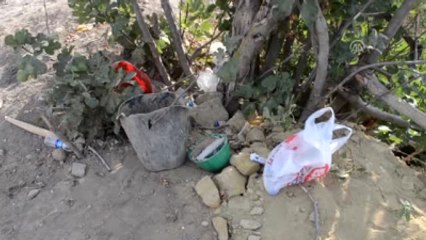 Define Aramak İçin Tünel Kazmışlar