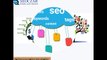 Search Engine Optimization Service |SEO  Companies | SEOCZAR