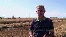 Les riches agriculteurs bulgares nourris aux fonds européens