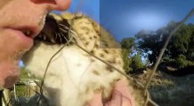 Man Reunites With African Cheetah Cat After 1 Year Absence -  Do You Remember Me-  A Documentary