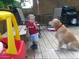 Bimbo Imbocca il Suo Amico a 4 Zampe, un Momento di Infinita Dolcezza!