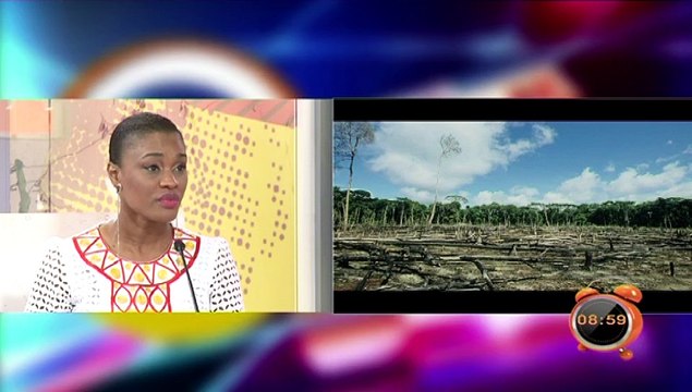 REPLAY - Yeewu Leen du 16 Septembre 2016 - ENVIRONNEMENT avec NDEYE NDACK