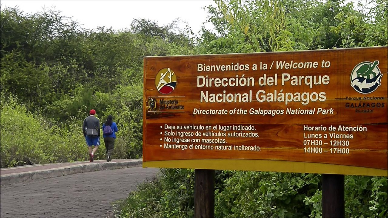 Sexgott: Galápagos-Riesenschildkröte rettet Art im Alleingang