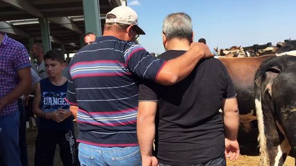 Akşehir kurban pazara kurbanlık alıyoruz