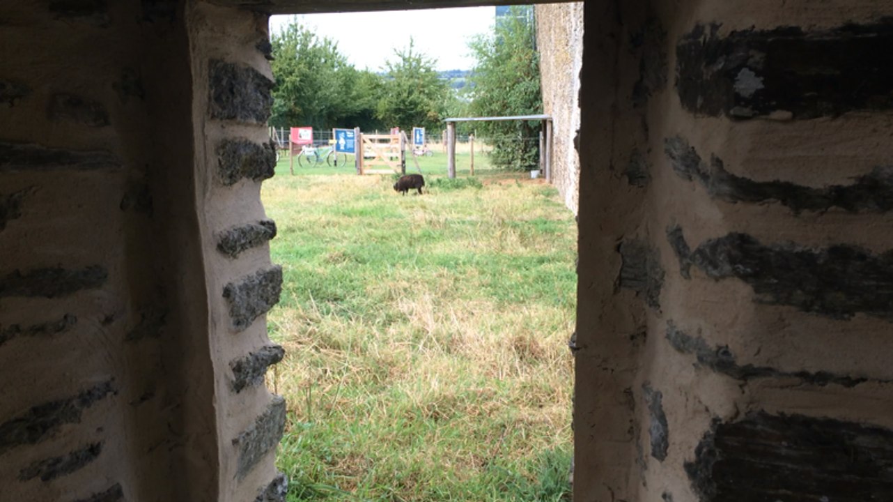L'ancienne porcherie renaît de ses cendres au Bois Jugan