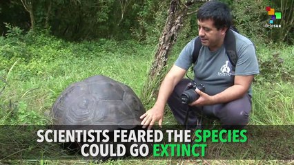 The 100-Year Old Sex Symbol