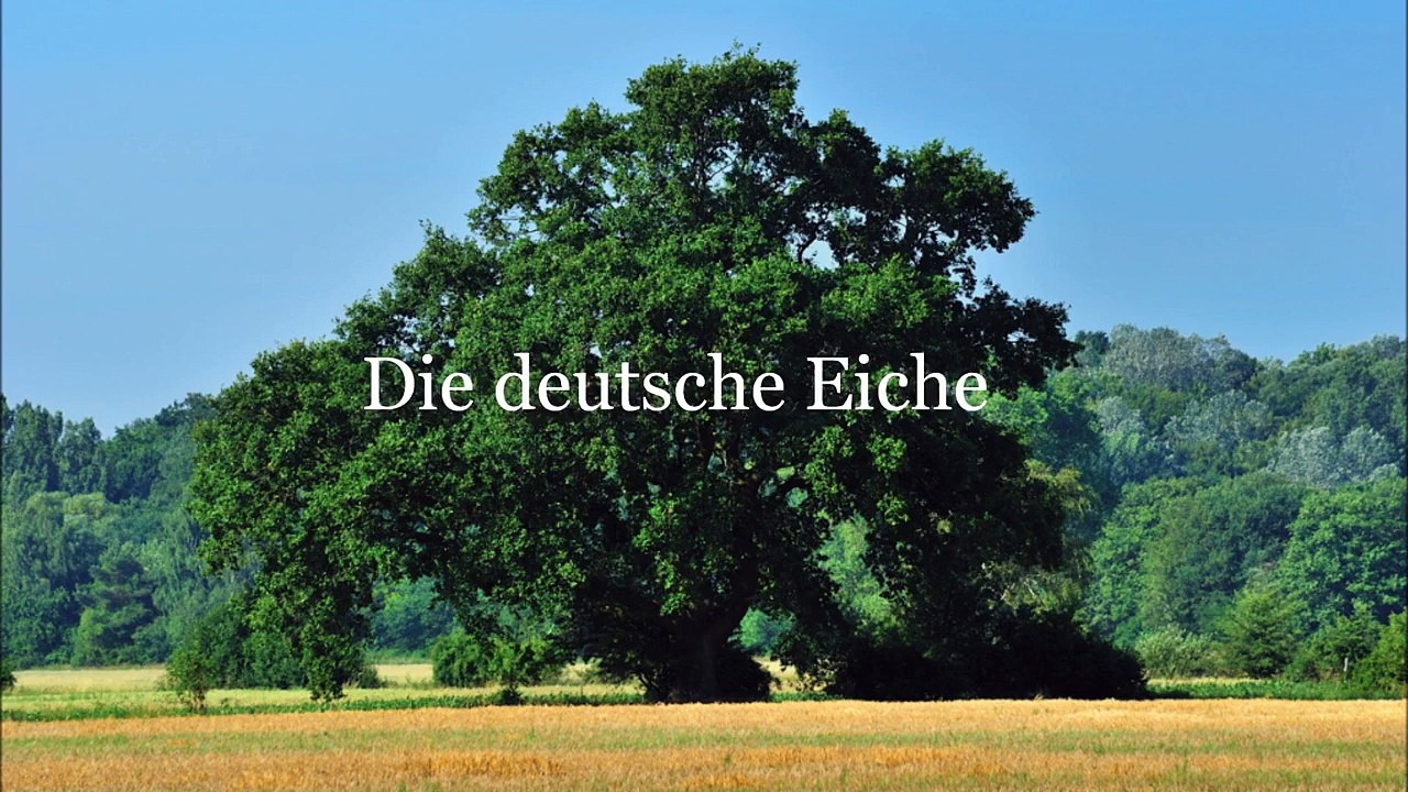 Die deutschen Nationalsymbole