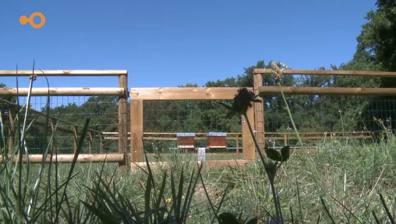 SUJET - La fondation des Evaux aura bientôt son propre miel