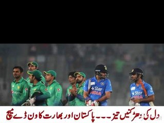 Very Good News About Cricket Fans