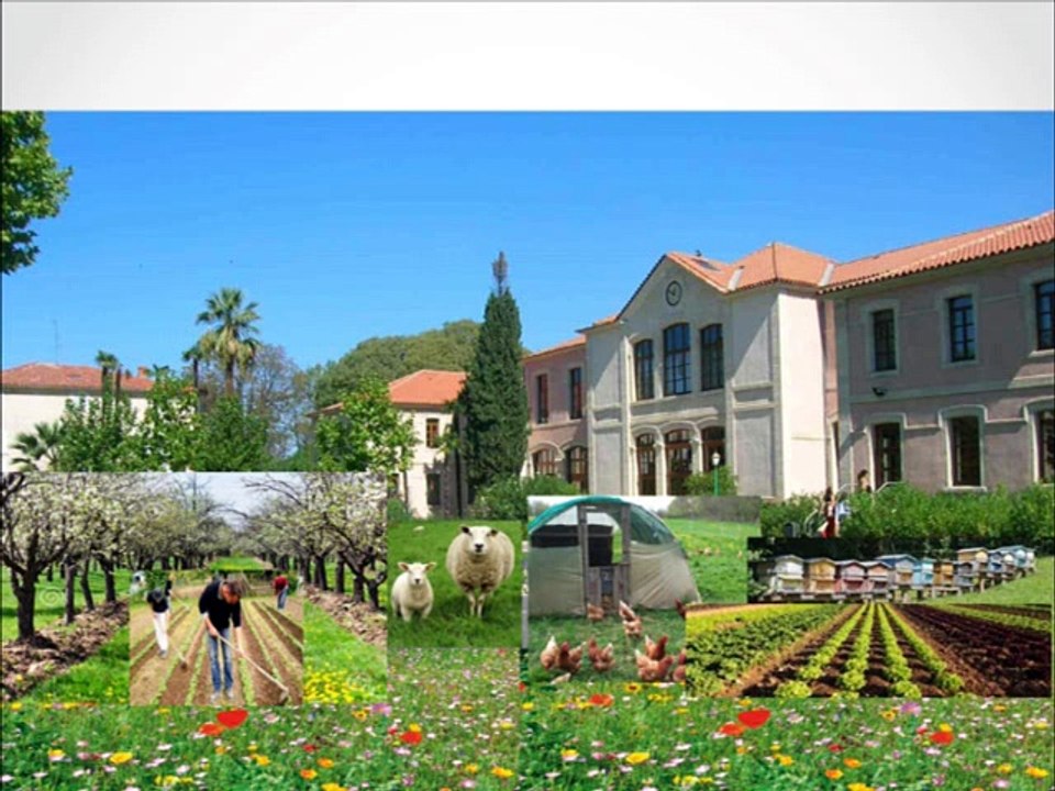 CultureSciences - "Une approche itinérante de l'agriculture urbaine européenne, source d'idées pour l'avenir des villes"