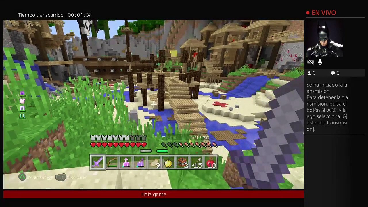 Minecraft (22)
