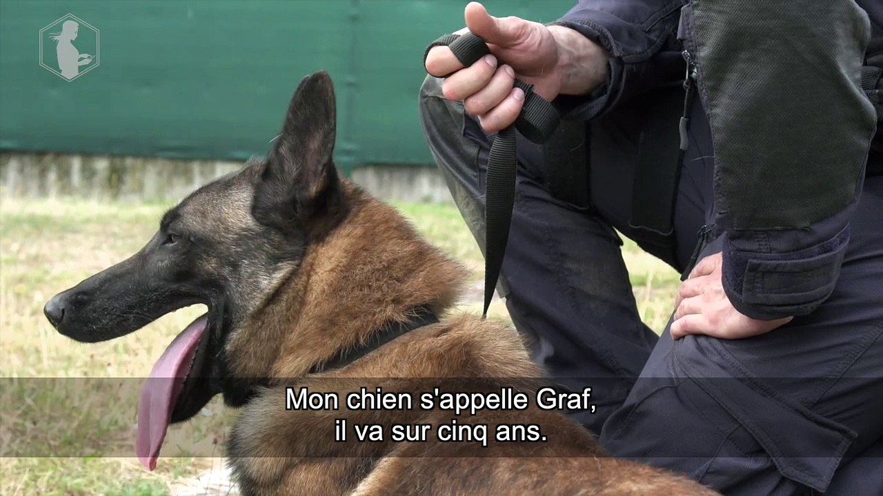 #HistoiresdeFrance, chapitre 19 - Graf, chien d'assaut au GIGN