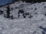 Snowboarding Double Back Flip