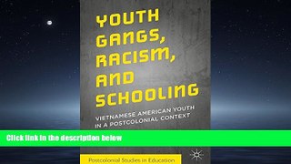 Popular Book Youth Gangs, Racism, and Schooling: Vietnamese American Youth in a Postcolonial