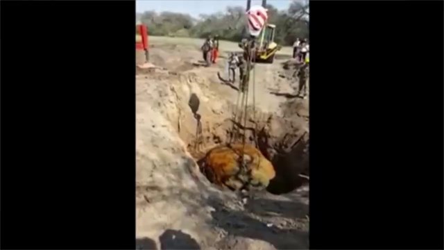 L’une des plus grosses météorites du monde déterrée en Argentine