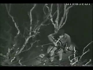 Donovan - Catch the wind