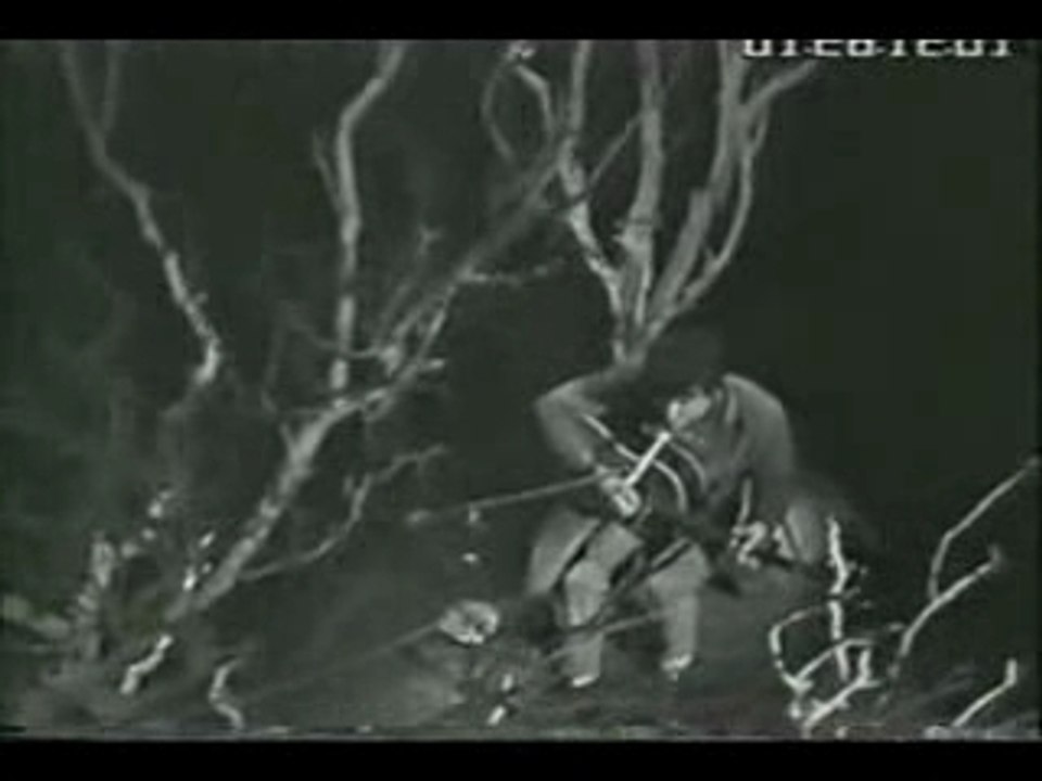 Donovan - Catch the wind