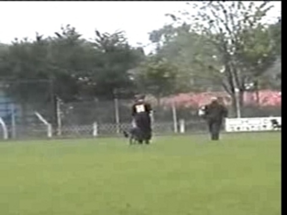 Schutzdienst Hook LGA 2005