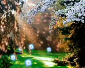 AŞK Dr Funda Müftüoğlu Video  seslendiren Aynur Avcı