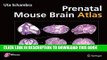 [PDF] Prenatal Mouse Brain Atlas: Color images and annotated diagrams of: Gestational Days 12, 14,