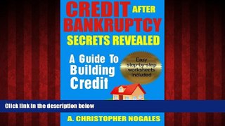 Choose Book Credit After Bankruptcy Secrets Revealed