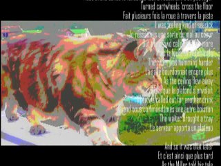 A norvegian cat`s whiter shade of pale