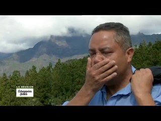 Ile de la Réunion - Échappées belles