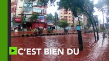 Au lendemain des sacrifices de l’Aïd, des rivières de sang coulent dans les rues de Dacca