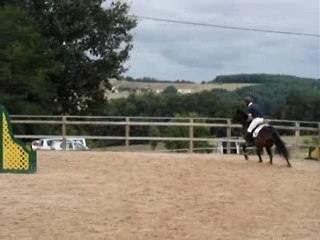 Vitesse 1m05 Mickael BONNIN - Kalin de Pelisse