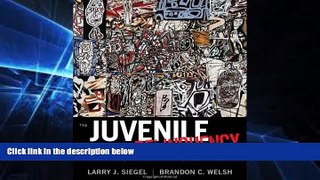 Must Have PDF  Juvenile Delinquency: Theory, Practice, and Law  Free Full Read Best Seller