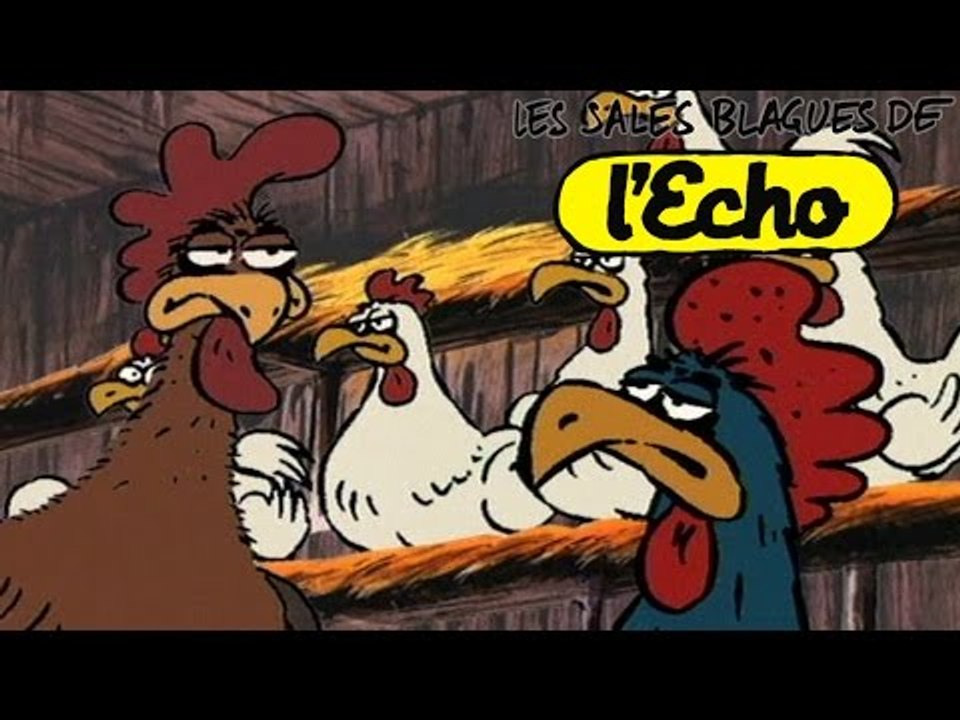 Les Sales Blagues de l'Echo - Le poulailler de la mort S02E25 HD