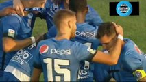 FC Botosani 1-2 FC Viitorul