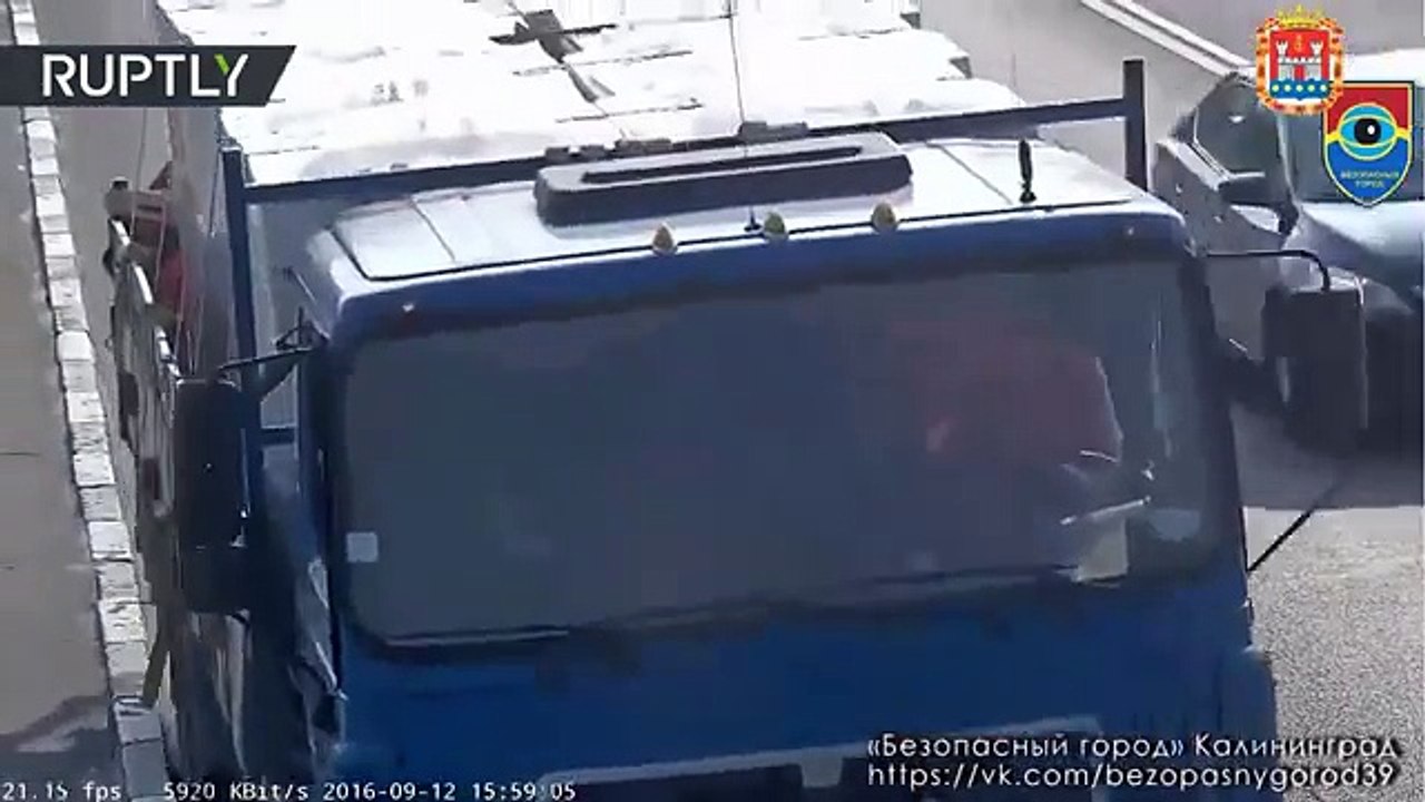 Un hombre rescata a un gato indefenso en una concurrida autopista