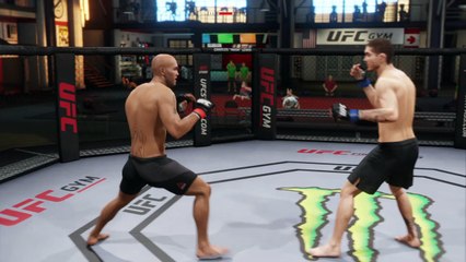 Peleadores De Ultimate Fighter