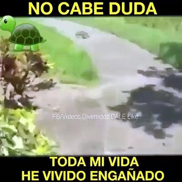 Toda mi vida he vivido engañado...