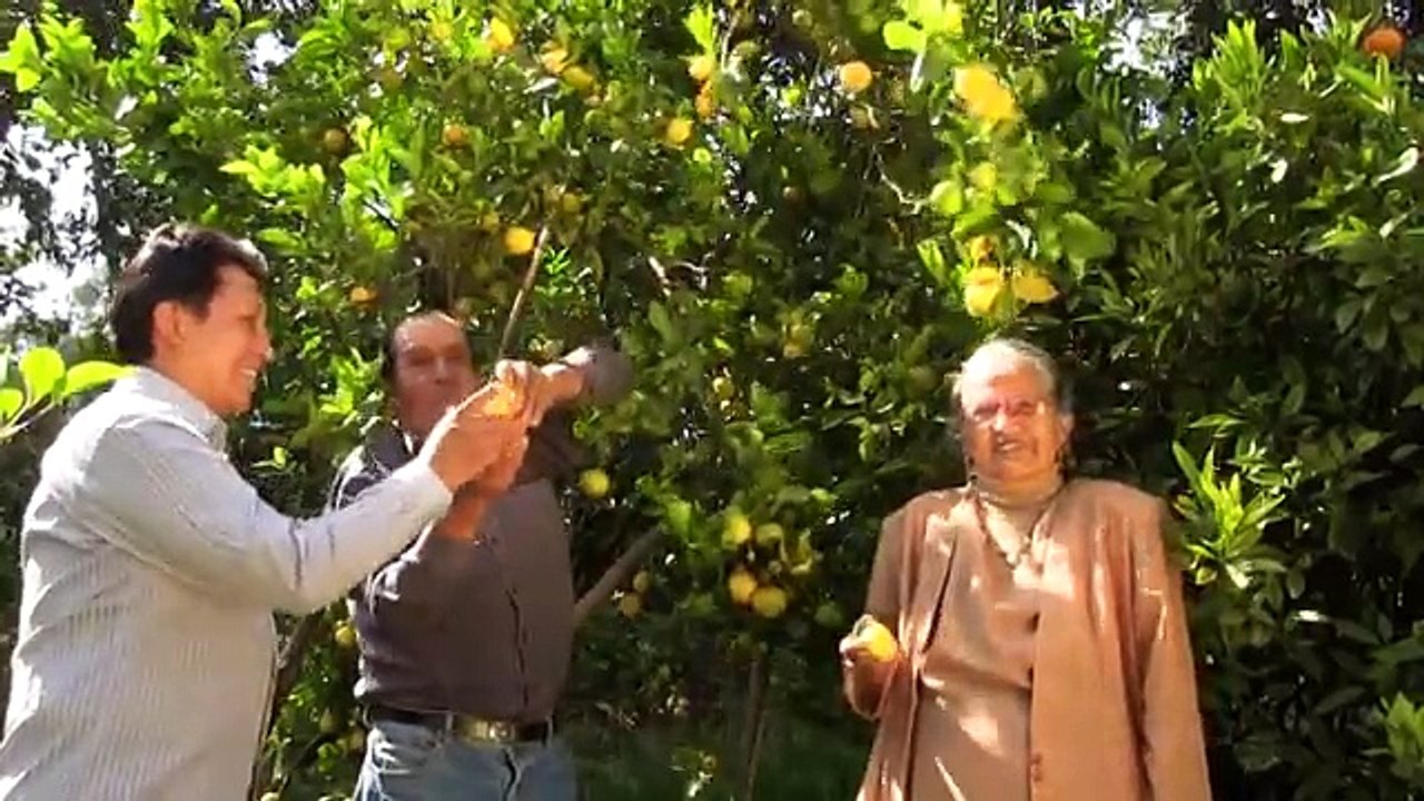 FREDY CAUSHI- SOY HUARACINO