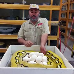 Une maman défend ses bébés