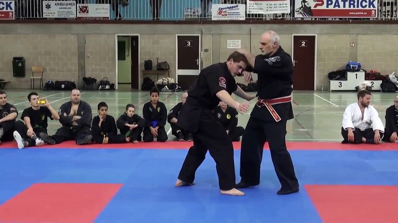 This Is Schin Gi Tai Kempo