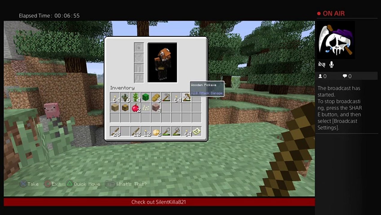 Minecraft (4)