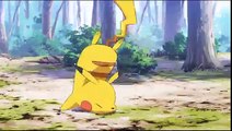 Pokemon Generations Episode 1 English Dubbed