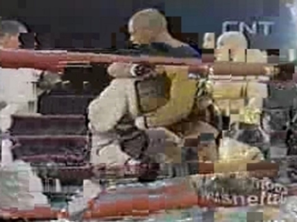 Vanderlei Silva Beats Down Bjj