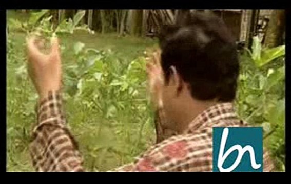 Aitay Nijay Kandile by Salim Nizami I Bangla Music video | Binodon Net BD