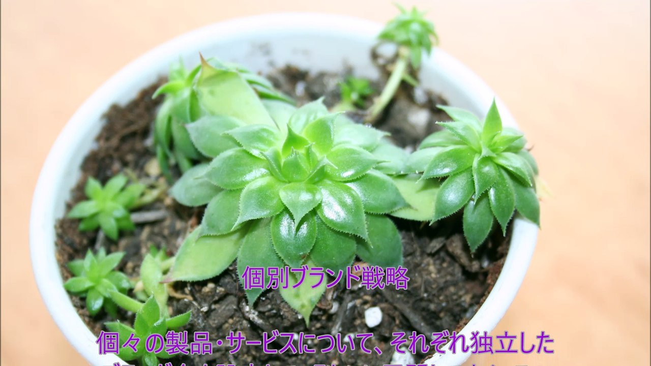 個別ブランド戦略～JDPアセットマネジメント資産管理用語集