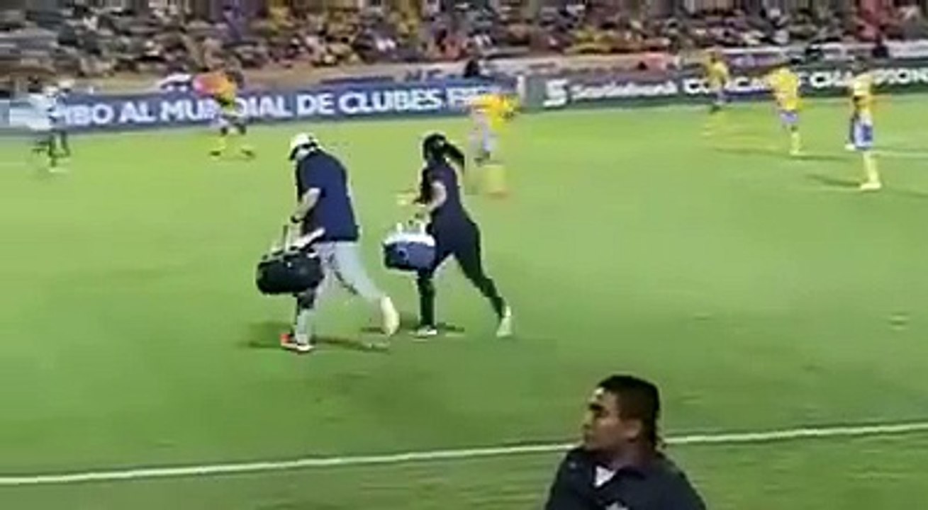 Sexy doctora de Tigres