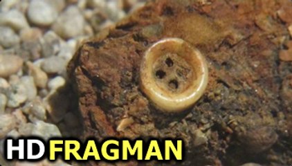 Sedef Düğme Belgesel Fragman izle