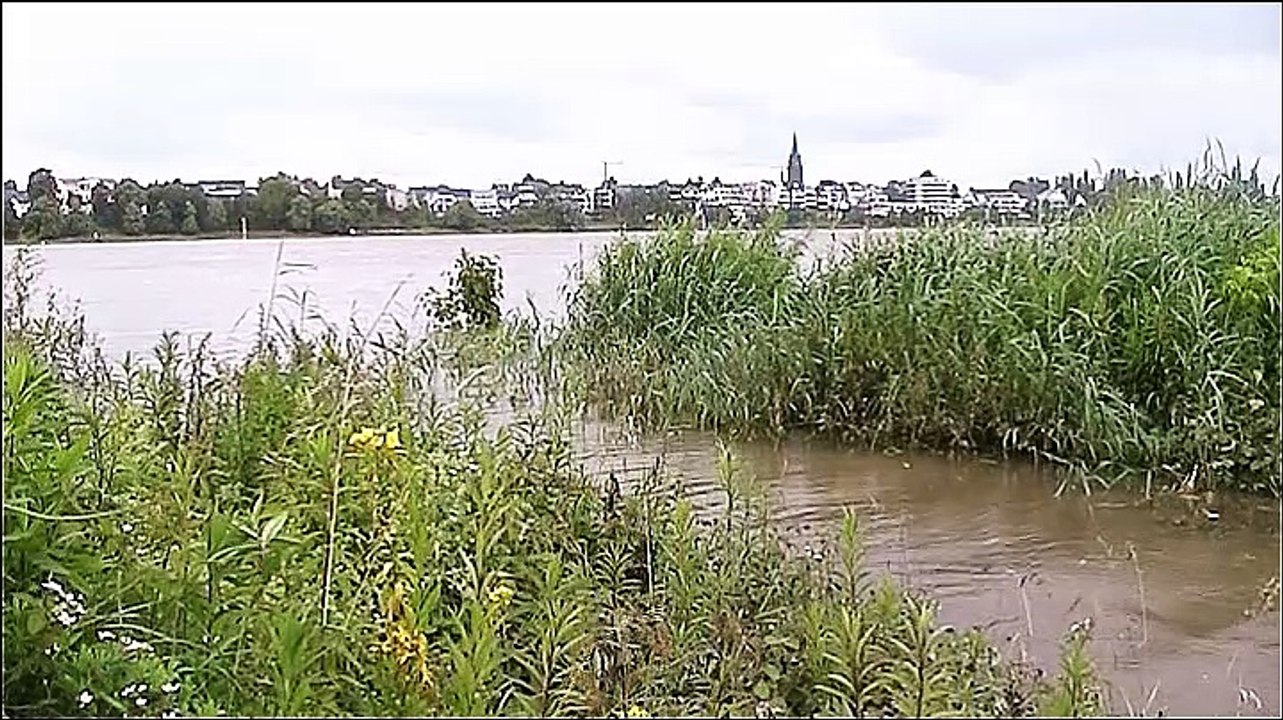 Der Rhein in Köln – 3