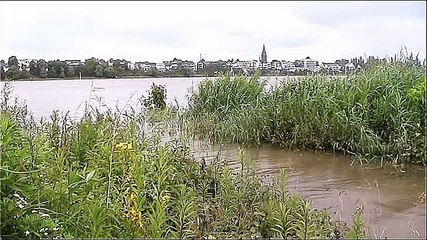 Der Rhein in Köln – 3