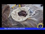 Trani |  Pesca di datteri, denunciati 5 molfettesi